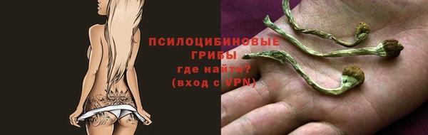гидра Арсеньев