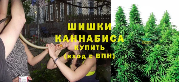a pvp Аркадак